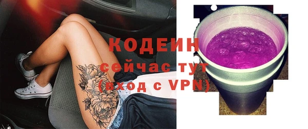 спиды Лагань