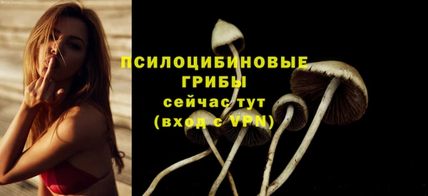 меф Ладушкин