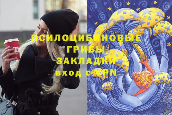 стафф Лабытнанги