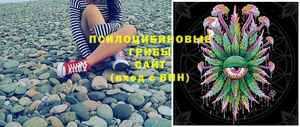 спиды Лагань