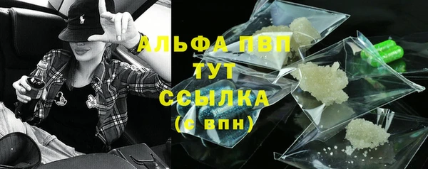 спиды Лагань