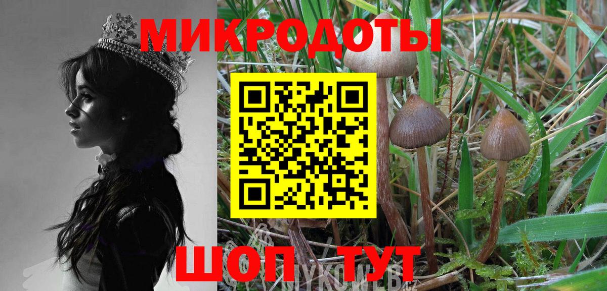 Галлюциногенные грибы Magic Shrooms  Вход с VPN  Фрязино 