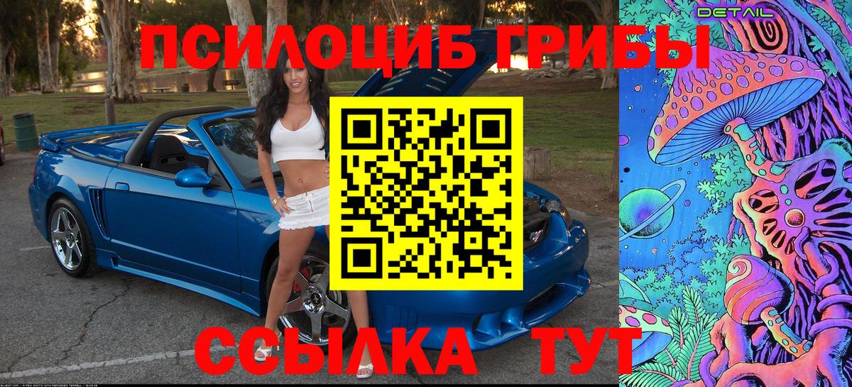 Псилоцибиновые грибы Psilocybe Фрязино