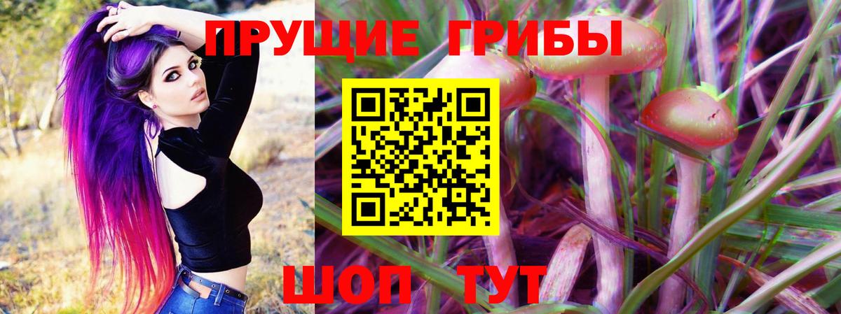 Псилоцибиновые грибы мухоморы  купить  цена  Фрязино 