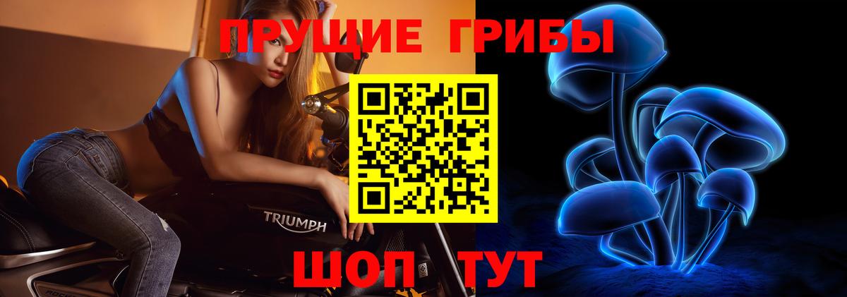 Галлюциногенные грибы прущие грибы Фрязино